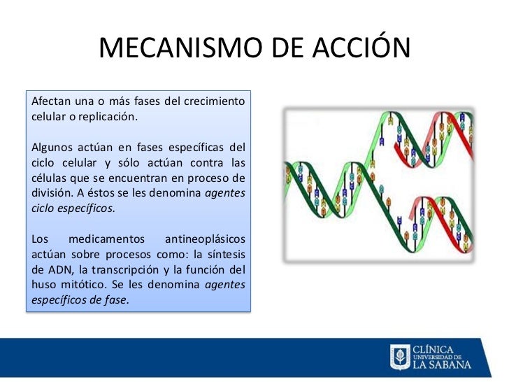 Mecanismo de accion de la furosemide pdf files